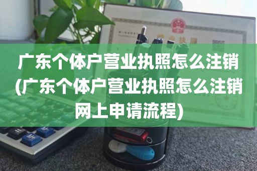 广东个体户营业执照怎么注销(广东个体户营业执照怎么注销网上申请流程)