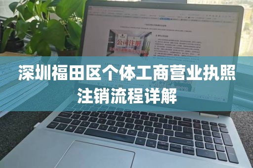 深圳福田区个体工商营业执照注销流程详解
