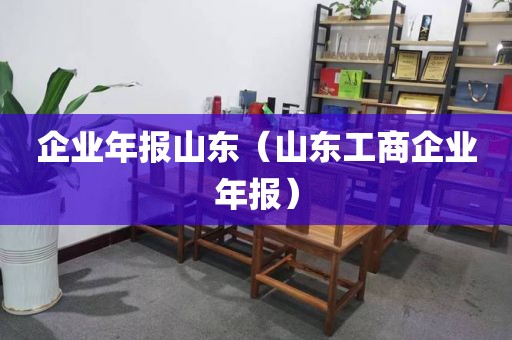 企业年报山东（山东工商企业年报）