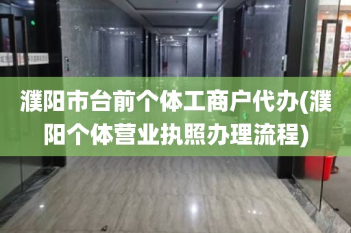 濮阳市台前个体工商户代办(濮阳个体营业执照办理流程)