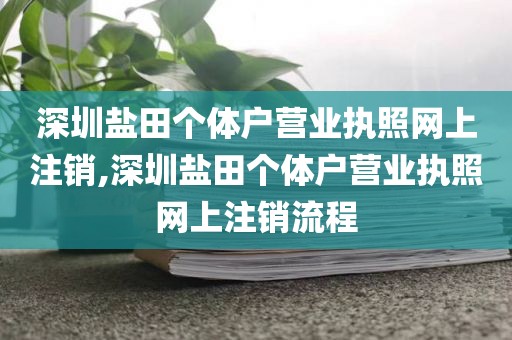 深圳盐田个体户营业执照网上注销,深圳盐田个体户营业执照网上注销流程