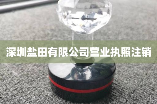 深圳盐田有限公司营业执照注销