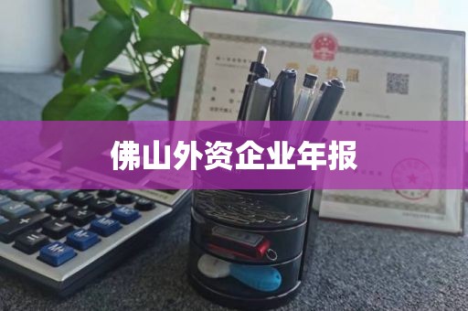 佛山外资企业年报