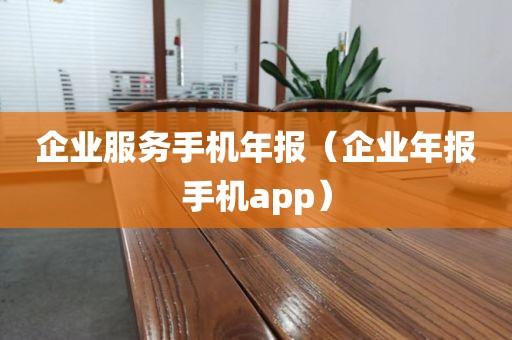 企业服务手机年报（企业年报手机app）