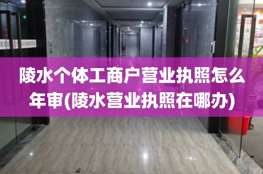 陵水个体工商户营业执照怎么年审(陵水营业执照在哪办)