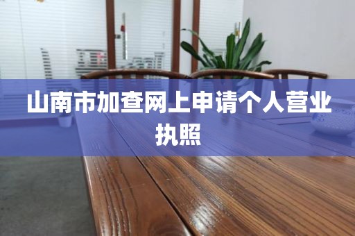 山南市加查网上申请个人营业执照
