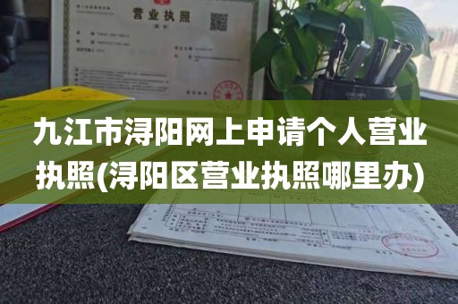 九江市浔阳网上申请个人营业执照(浔阳区营业执照哪里办)