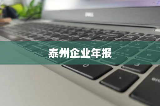 泰州企业年报