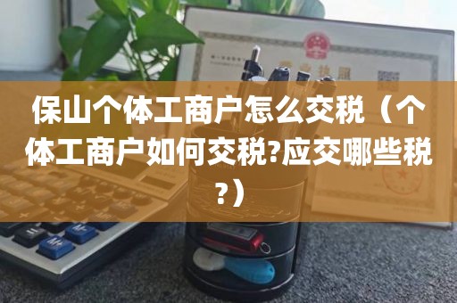 保山个体工商户怎么交税（个体工商户如何交税?应交哪些税?）