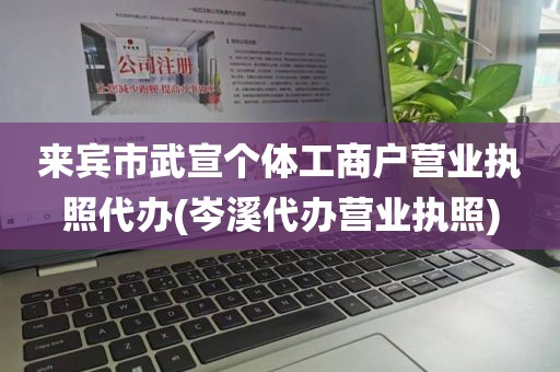 来宾市武宣个体工商户营业执照代办(岑溪代办营业执照)