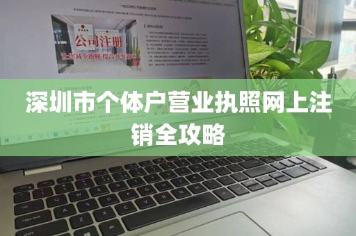 深圳市个体户营业执照网上注销全攻略