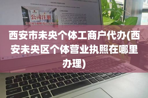 西安市未央个体工商户代办(西安未央区个体营业执照在哪里办理)