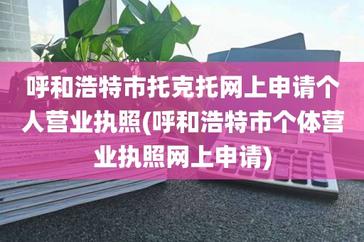 呼和浩特市托克托网上申请个人营业执照(呼和浩特市个体营业执照网上申请)