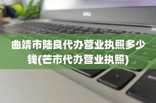 曲靖市陆良代办营业执照多少钱(芒市代办营业执照)