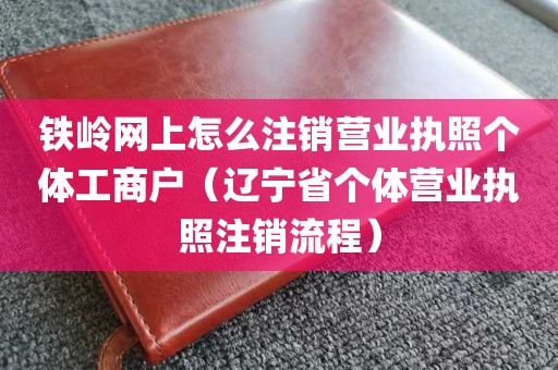 铁岭网上怎么注销营业执照个体工商户（辽宁省个体营业执照注销流程）
