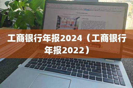 工商银行年报2024（工商银行年报2022）