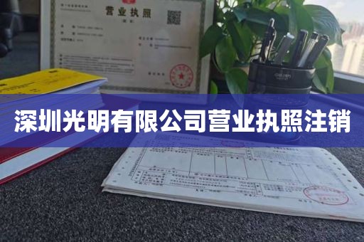 深圳光明有限公司营业执照注销