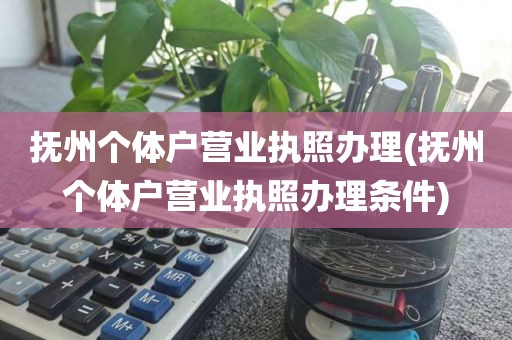 抚州个体户营业执照办理(抚州个体户营业执照办理条件)