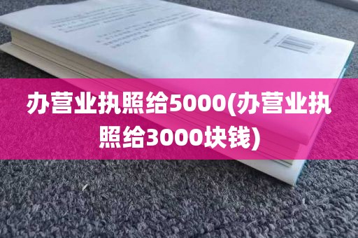 办营业执照给5000(办营业执照给3000块钱)