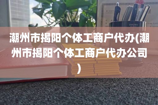 潮州市揭阳个体工商户代办(潮州市揭阳个体工商户代办公司)