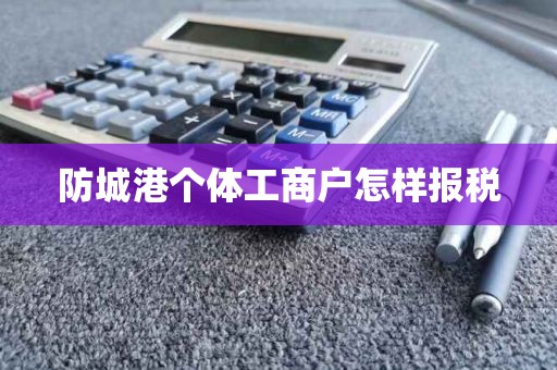防城港个体工商户怎样报税