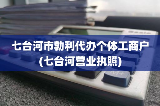 七台河市勃利代办个体工商户(七台河营业执照)