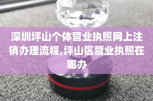 深圳坪山个体营业执照网上注销办理流程,坪山区营业执照在哪办
