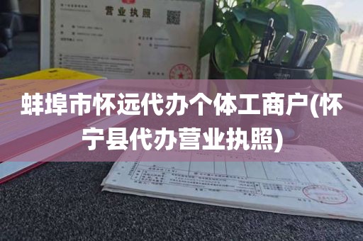 蚌埠市怀远代办个体工商户(怀宁县代办营业执照)