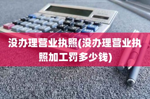 没办理营业执照(没办理营业执照加工罚多少钱)