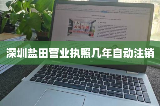 深圳盐田营业执照几年自动注销