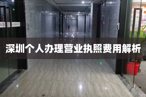 深圳个人办理营业执照费用解析