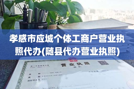 孝感市应城个体工商户营业执照代办(随县代办营业执照)