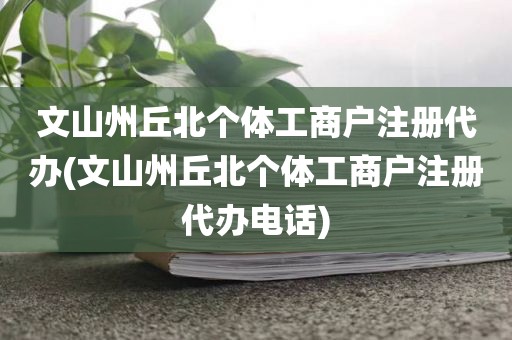 文山州丘北个体工商户注册代办(文山州丘北个体工商户注册代办电话)