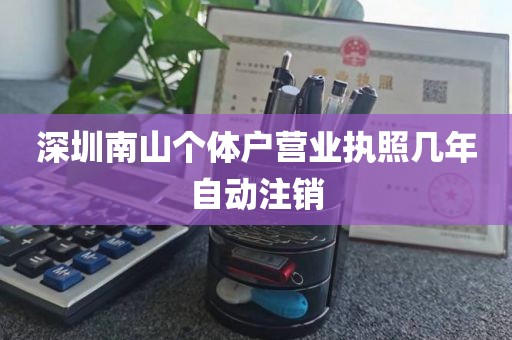 深圳南山个体户营业执照几年自动注销