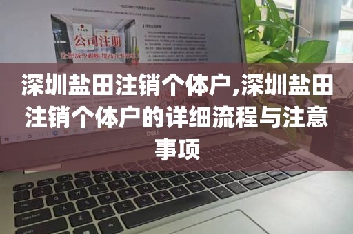 深圳盐田注销个体户,深圳盐田注销个体户的详细流程与注意事项