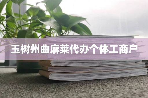 玉树州曲麻莱代办个体工商户