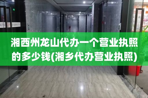 湘西州龙山代办一个营业执照的多少钱(湘乡代办营业执照)