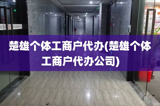 楚雄个体工商户代办(楚雄个体工商户代办公司)