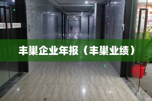 丰巢企业年报(丰巢业绩)