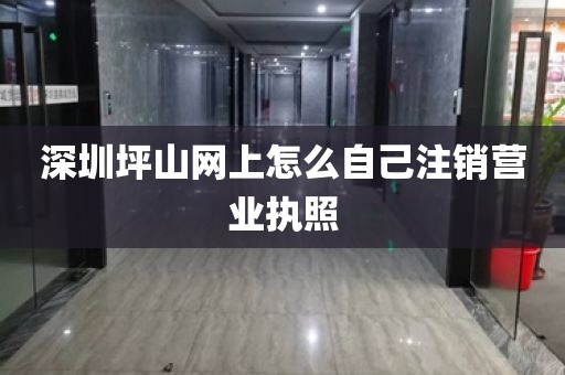 深圳坪山网上怎么自己注销营业执照
