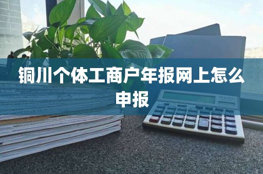 铜川个体工商户年报网上怎么申报