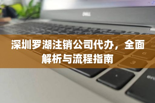 深圳罗湖注销公司代办，全面解析与流程指南