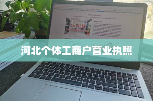 河北个体工商户营业执照