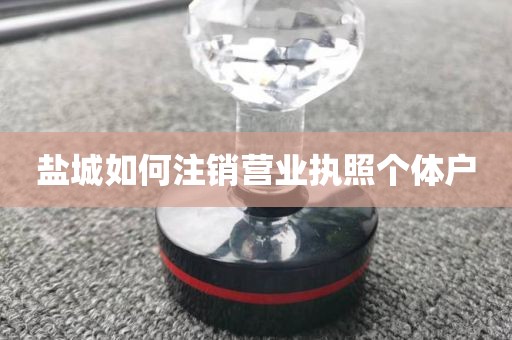 盐城如何注销营业执照个体户