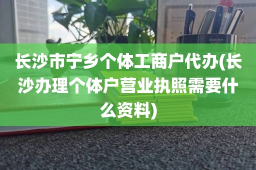 长沙市宁乡个体工商户代办(长沙办理个体户营业执照需要什么资料)