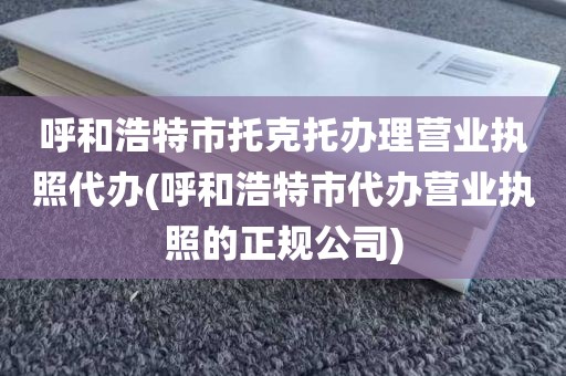 呼和浩特市托克托办理营业执照代办(呼和浩特市代办营业执照的正规公司)
