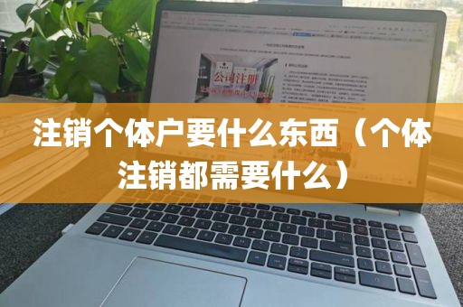 注销个体户要什么东西（个体注销都需要什么）