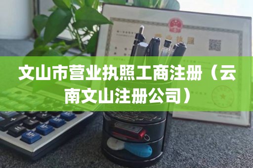 文山市营业执照工商注册(云南文山注册公司)