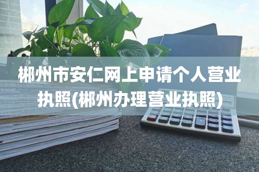郴州市安仁网上申请个人营业执照(郴州办理营业执照)