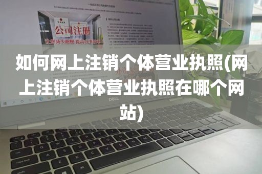 如何网上注销个体营业执照(网上注销个体营业执照在哪个网站)